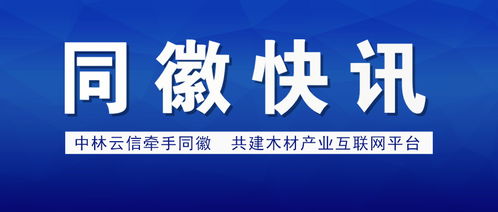 項(xiàng)城醫(yī)藥行業(yè)網(wǎng)站建設(shè)解決方案 打造數(shù)字化健康門(mén)戶
