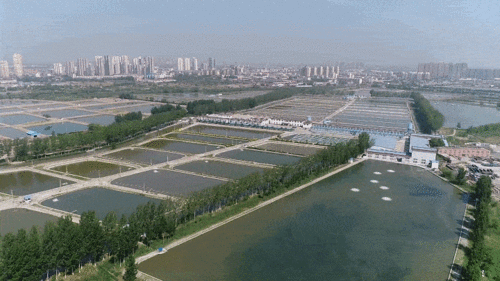 天津市鯉鯽魚(yú)水產(chǎn)種質(zhì)資源場(chǎng)建設(shè)項(xiàng)目 良種培育與產(chǎn)業(yè)升級(jí)的新篇章
